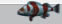 3D fish