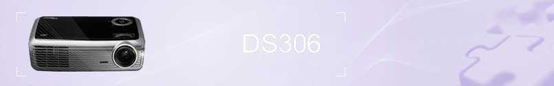 DS306 Banner