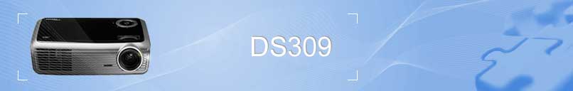 DS309 Banner