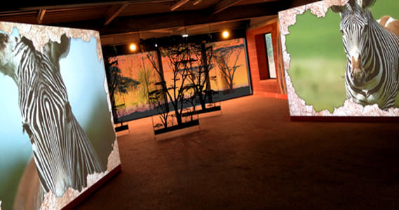 Technology brings visitors closer to nature at Marwell Zoo